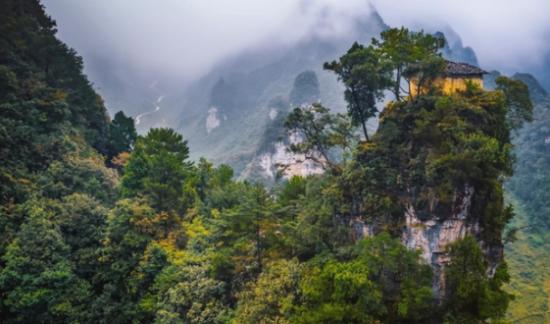 为什么禁止进入神农架深处？一位60多岁的巡山员告诉我：别看神农架拥有大量高等植物