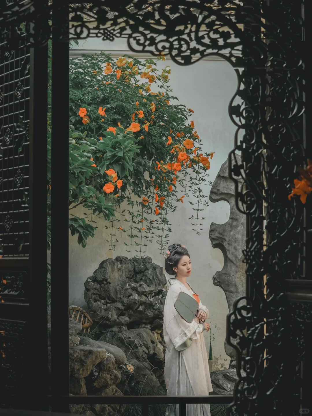 虎丘凌霄花是顶流中式美学⁉️那网师园算什么