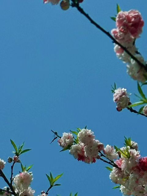每日一善阳光信用 心怀温柔行善，与喜欢的人共成长每日存一份善意，平凡日子也发光 
