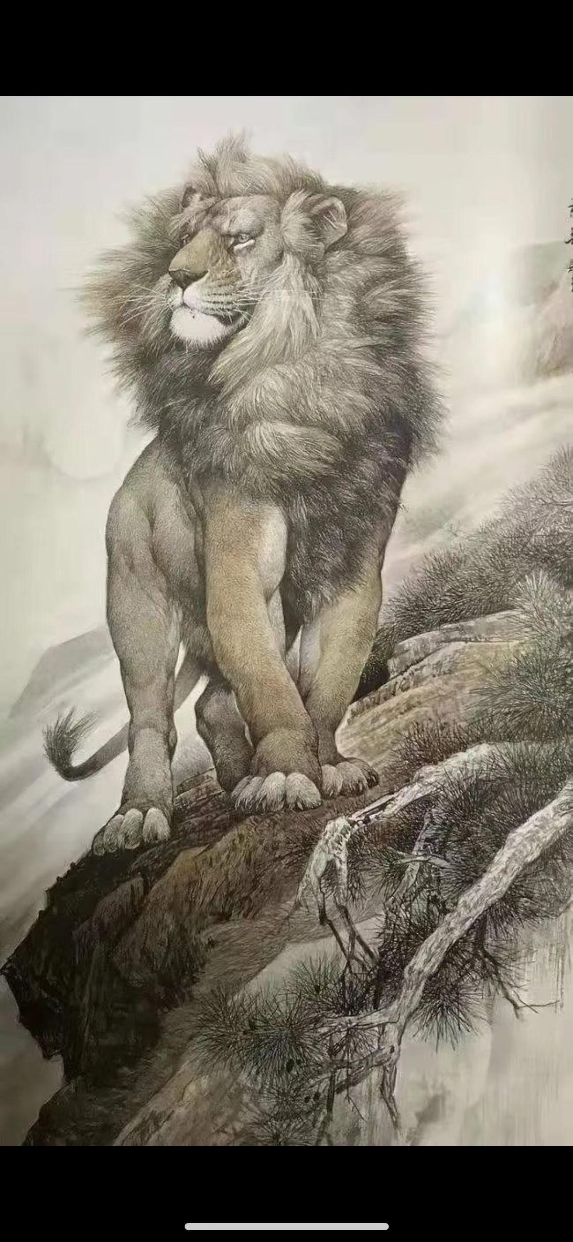 【智慧的草原之王】
 《〈〈 站位，决定能走多远 〉〉》

这头狮子，
不紧张，