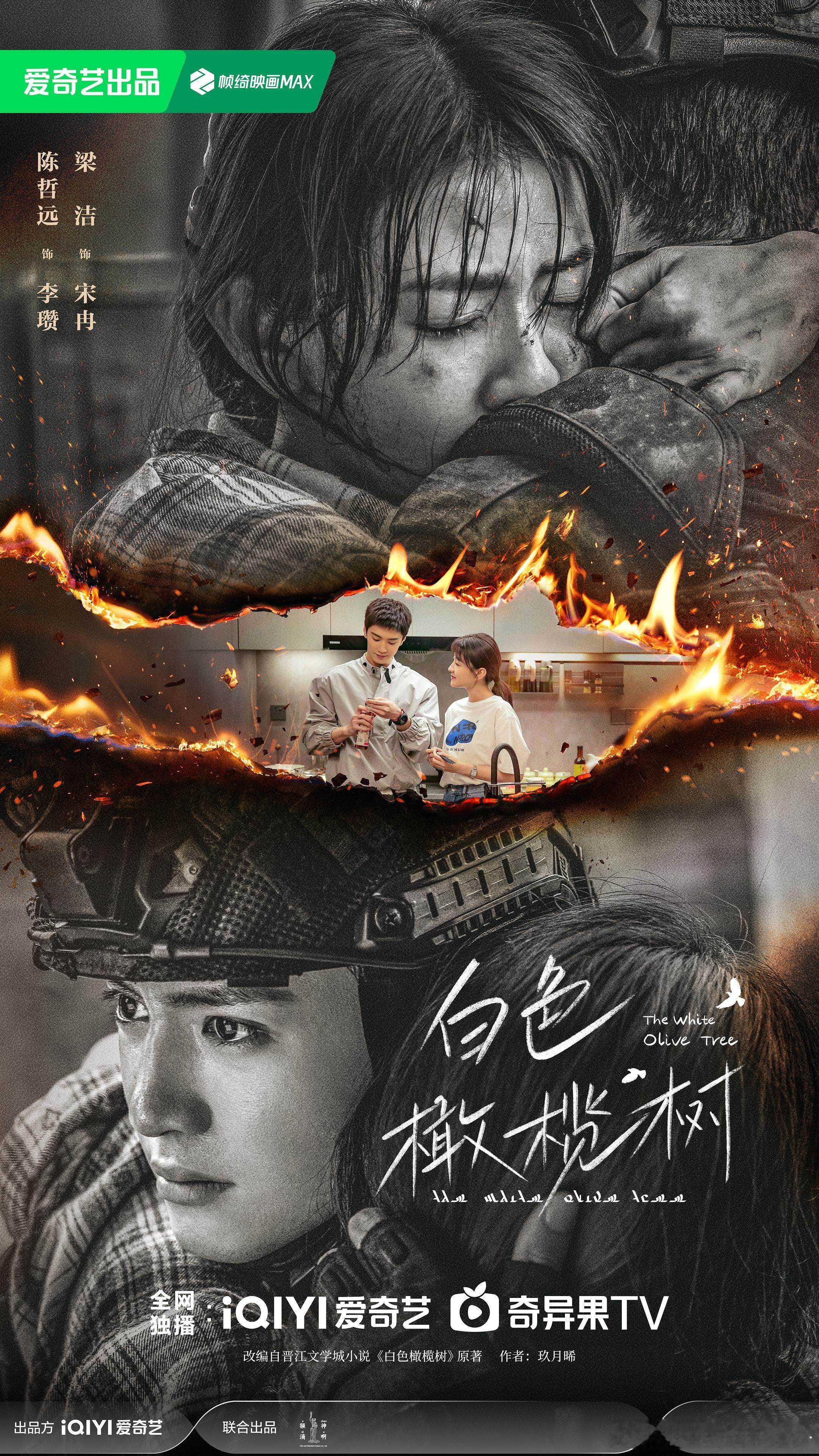 25年上半年也辛苦看了很多剧。不限题材，从剧本、制作、表演各方面综合来看，可以归