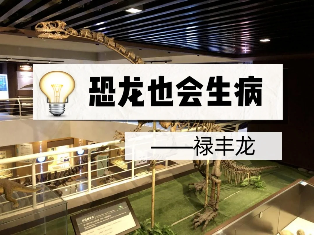 恐龙也会生病—禄丰龙