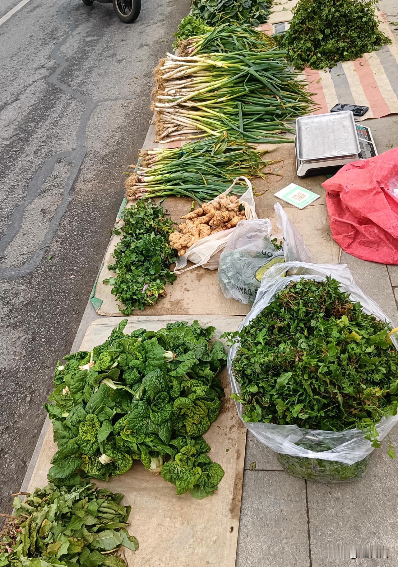 生活是艺术之源。
今天，冬至，大雾橙色予警！我依然找一个可行的时段出门吹吹风，透