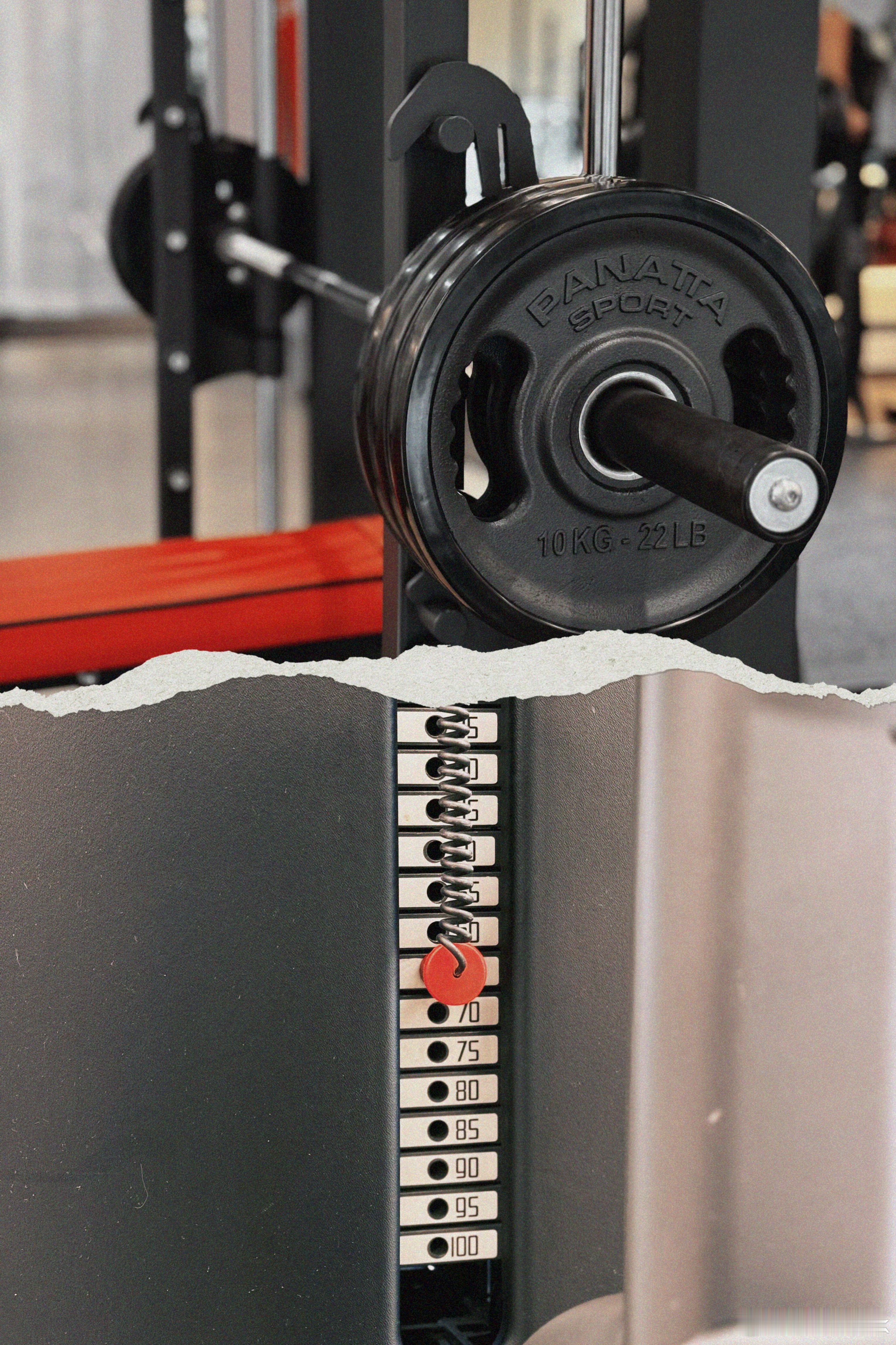 从三月到现在，减脂和增肌同步进展，没有找教练，甚至前期都没有去健身房。第一性原理