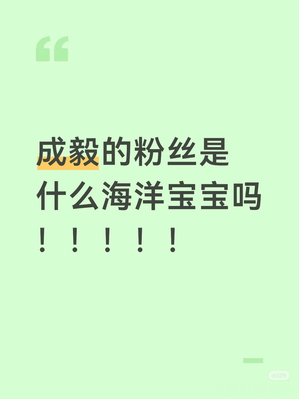 成毅内娱行走的吸粉机！真真湖南人超级会吸粉！ 