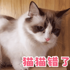 猫咪以为家里没人开心地唱歌不像是在唱歌，喵喵喵反而像是在找妈妈一样 ​​​