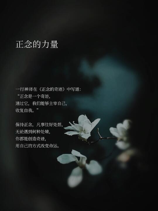 正念的力量