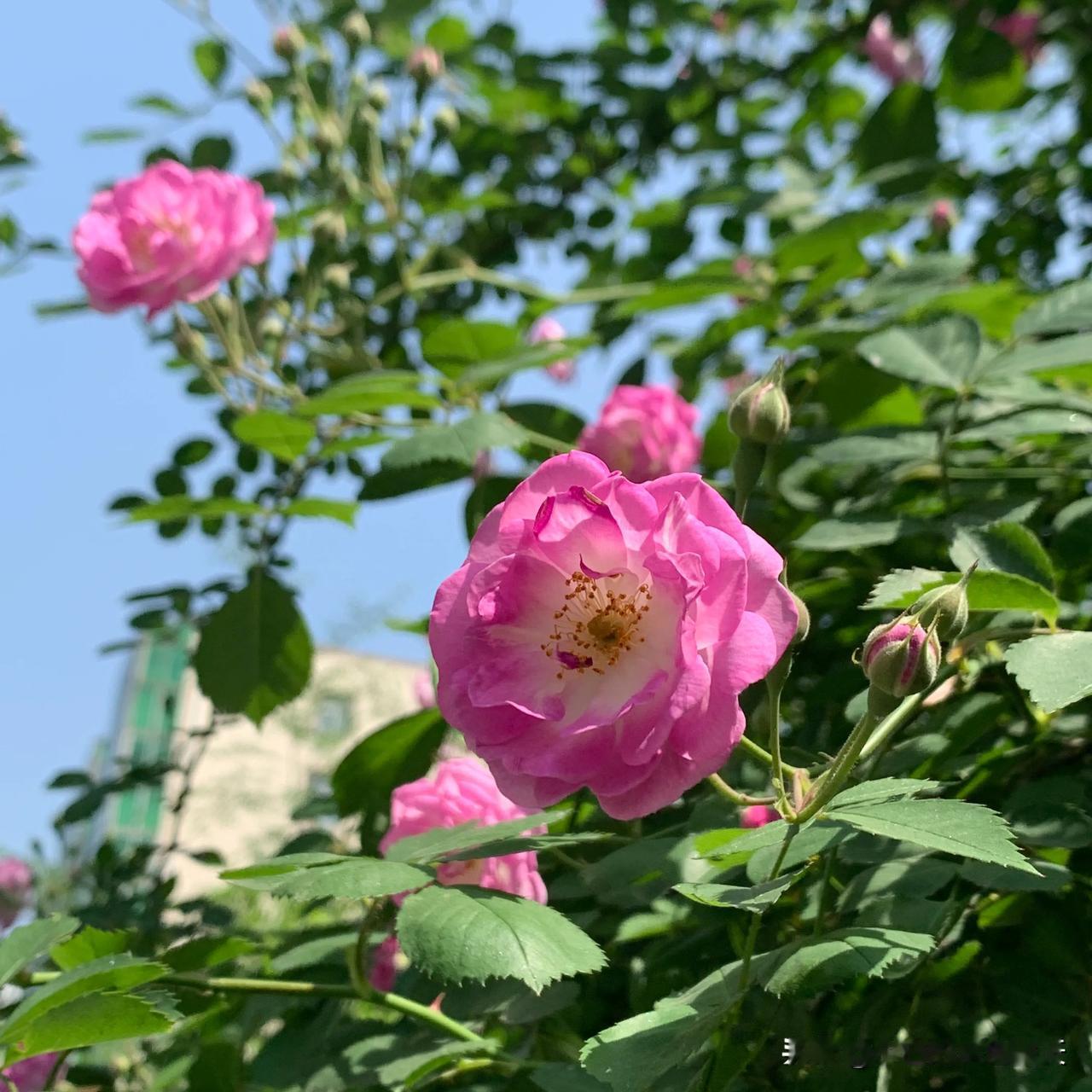 #分享一张春天照片#