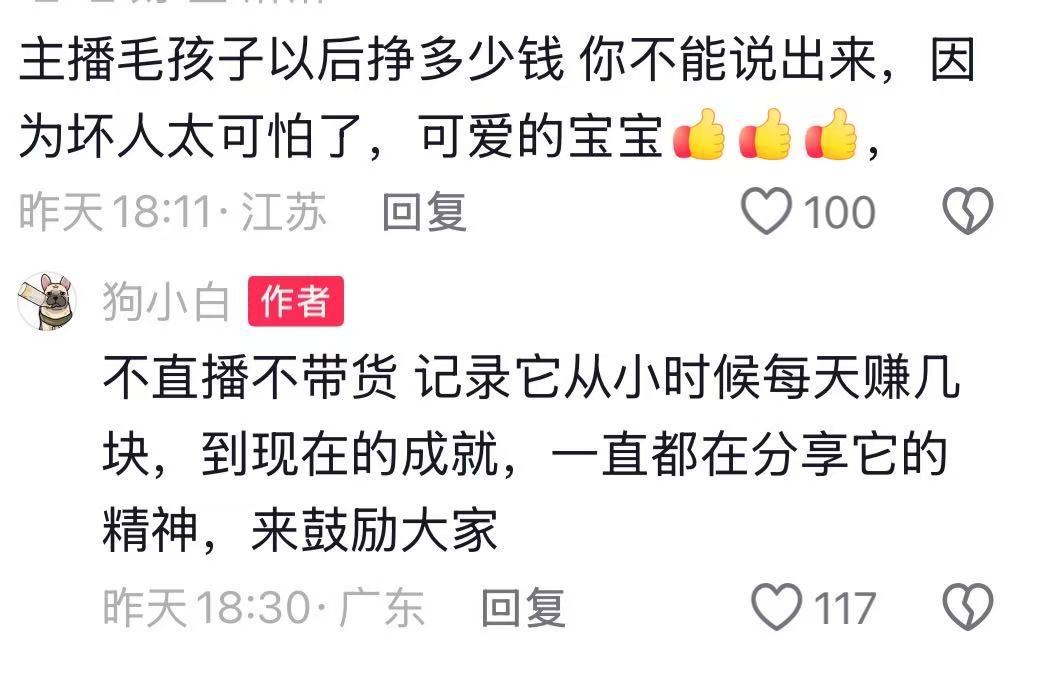 【捡瓶小狗主人称不直播带货，小狗“小白”因捡瓶子攒下10万元走红】5月13日，广