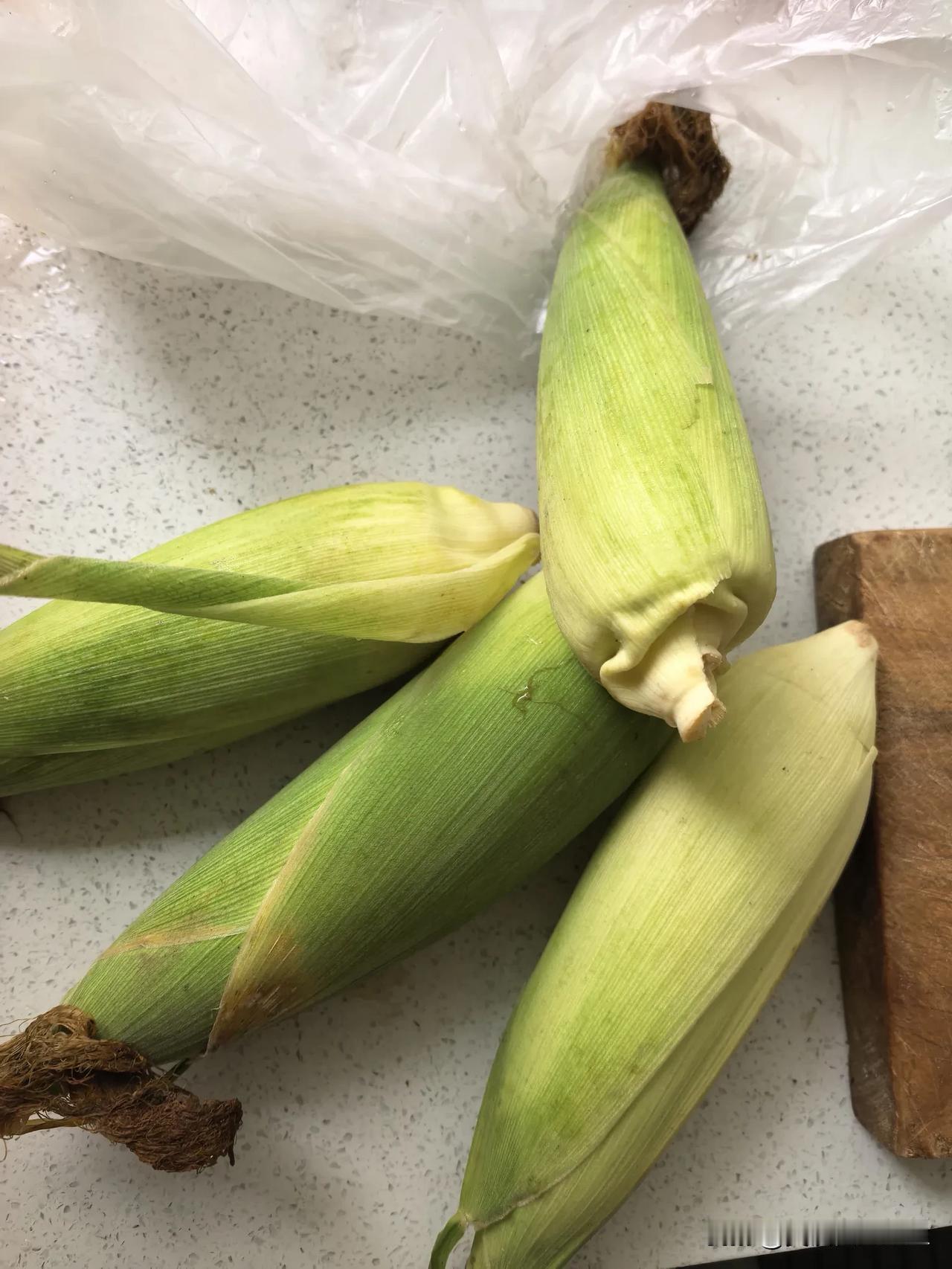 父亲种的白糯玉米长成了，赶紧给我打电话，让我回去带一些，说是再过几天就老了，不好