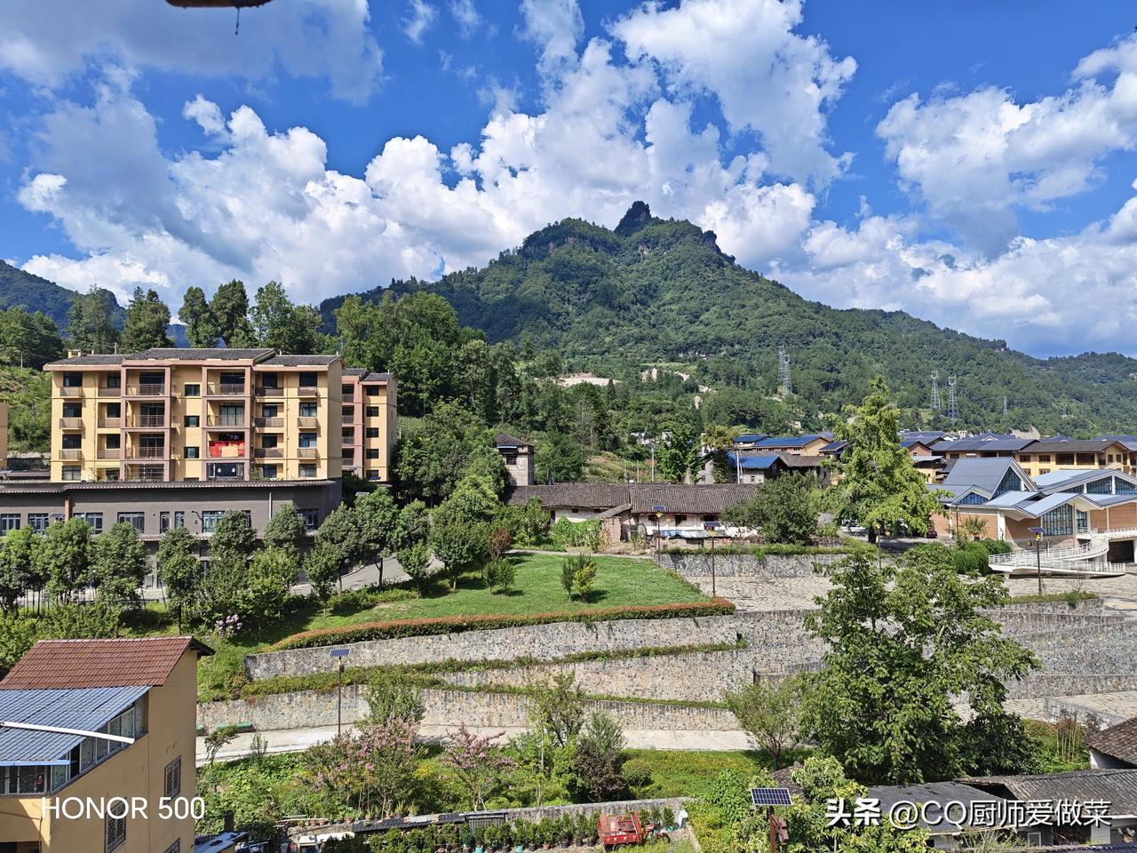 满山“蜂蜜黄”民居超治愈，黄精黄连长势喜人。🐝 来喝碗非遗米米茶，暖胃又暖心。