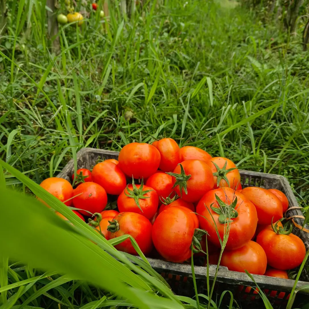吃零食后处理的一个例子