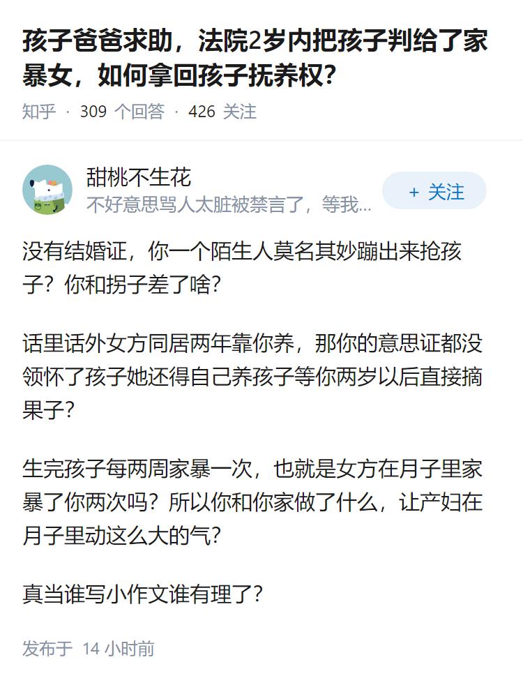 孩子爸爸求助，法院2岁内把孩子判给了家暴女，如何拿回孩子抚养权？