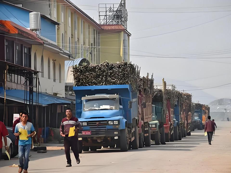 今天传来缅甸联邦第一特区甘蔗砍收进入尾声且出口量突破历史新高的最新消息。第一特区