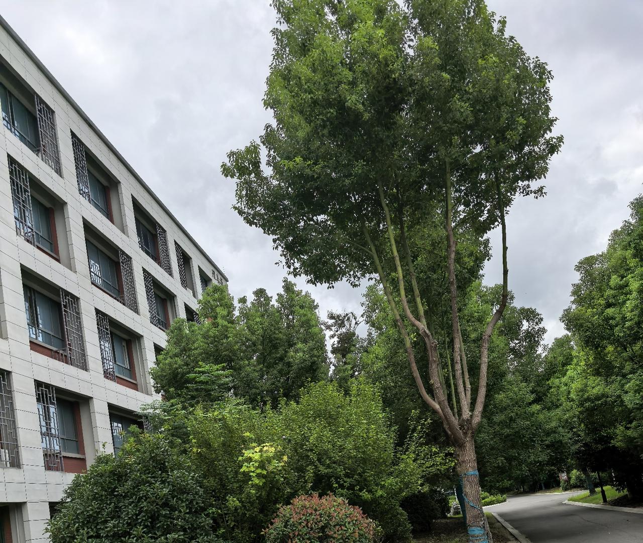 前阵子部门搞季度项目，我拍板把全部预算砸进了一个新渠道，结果投了21万，转化连预