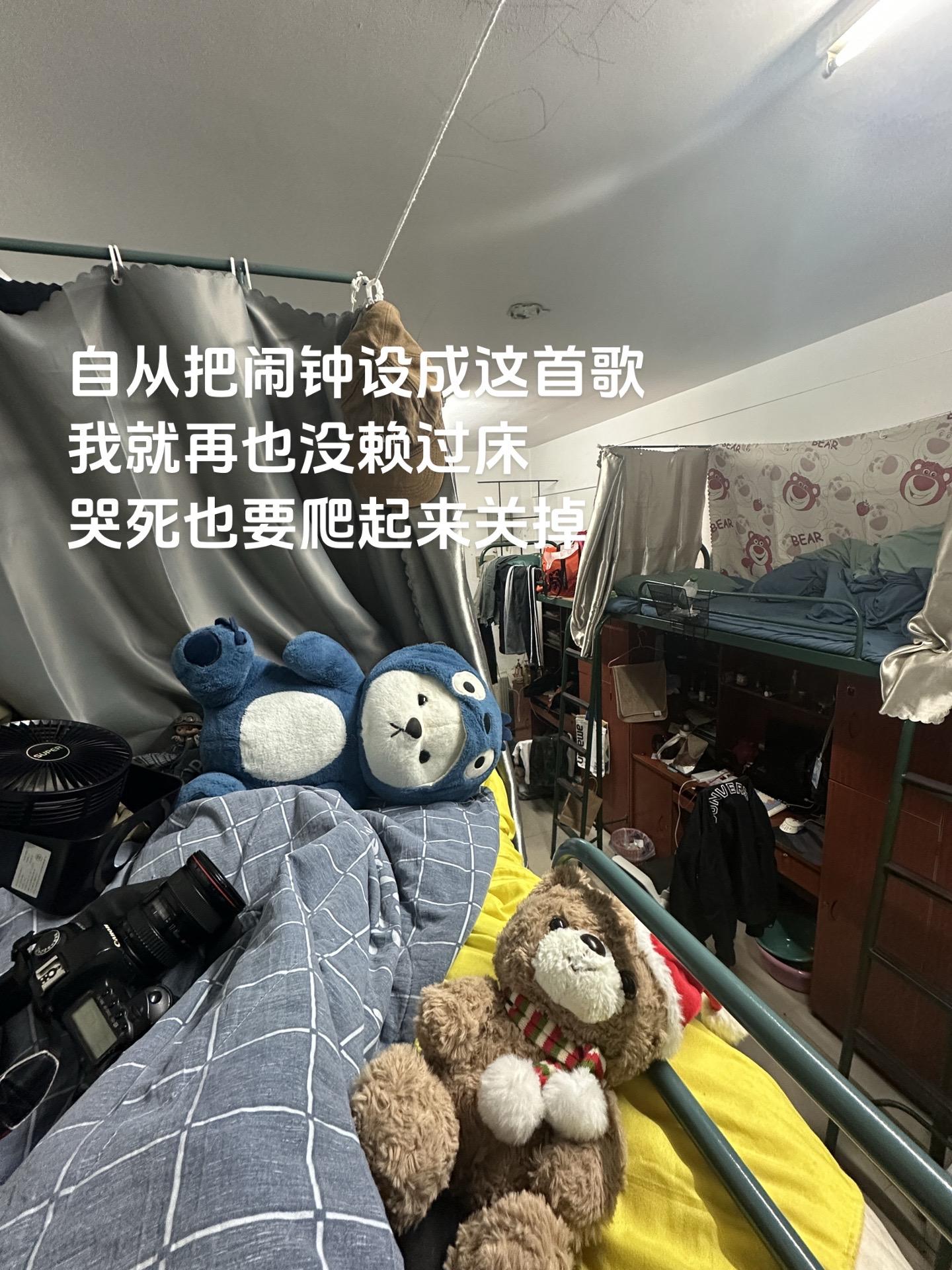 再也没赖过床