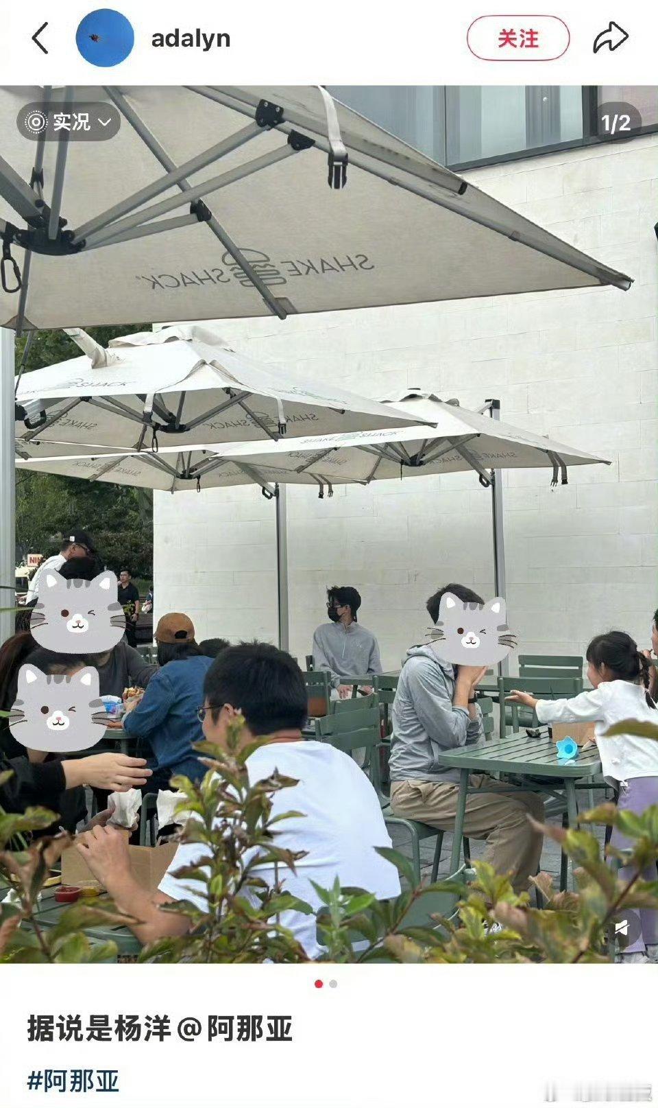 偶遇杨洋阿那亚用餐网友在阿那亚偶遇杨洋偶遇杨洋阿那亚用餐，玩的开心，[抱一抱][