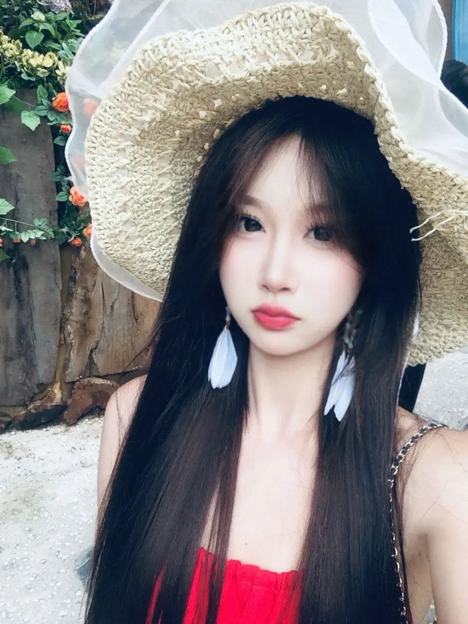 有人弃我如杂草 有人视我如珍宝