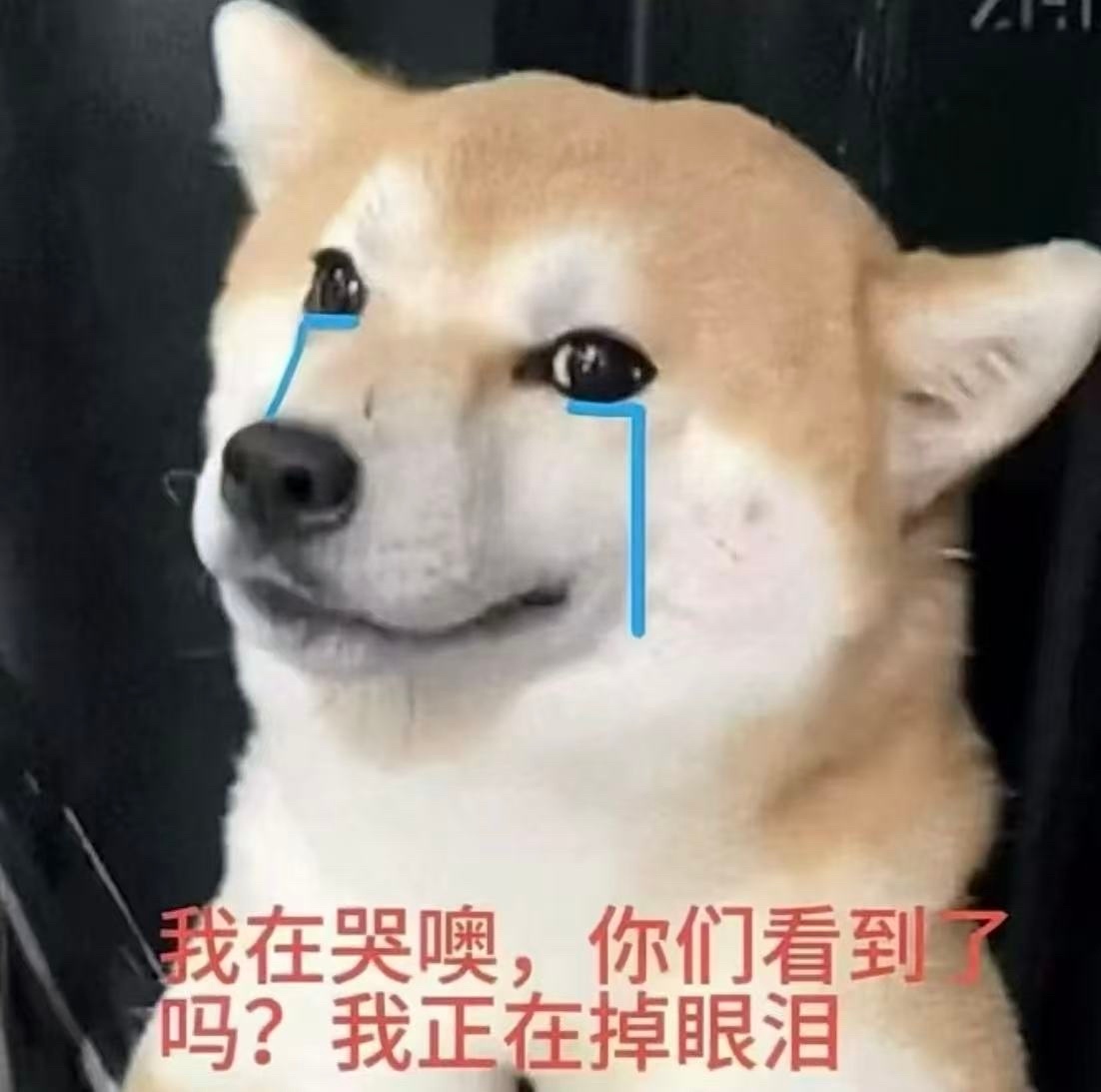 号到用时方恨少 