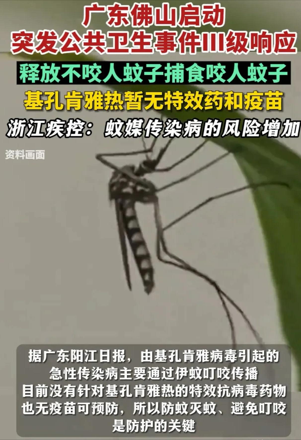 [中国赞]解释不清了！7月30日，广东，为了应对基孔肯雅热，中山大学的副教授带着