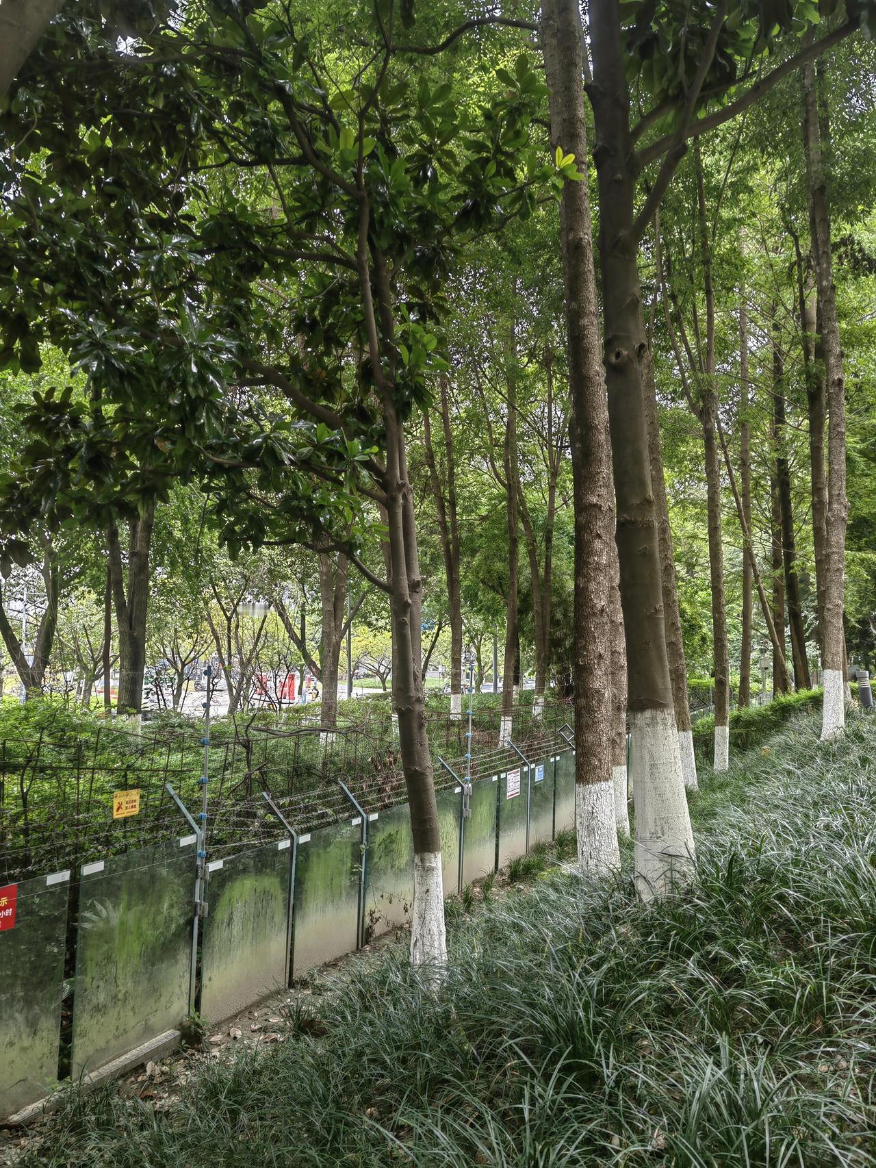 男子带第三者产检不稀奇，碰到妻子和丈母娘很稀奇。

婚姻，真的变成“婚姻是爱情的