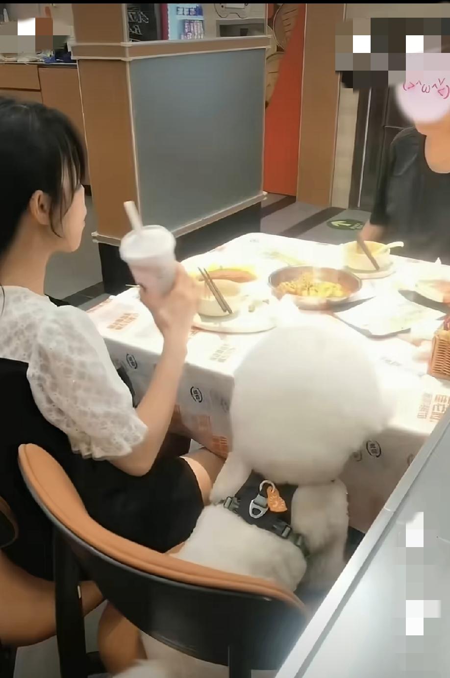 6月14日，湖南湘潭。一湘派海鲜的门店内，一对男女无视店内规则，直接将宠物狗带进