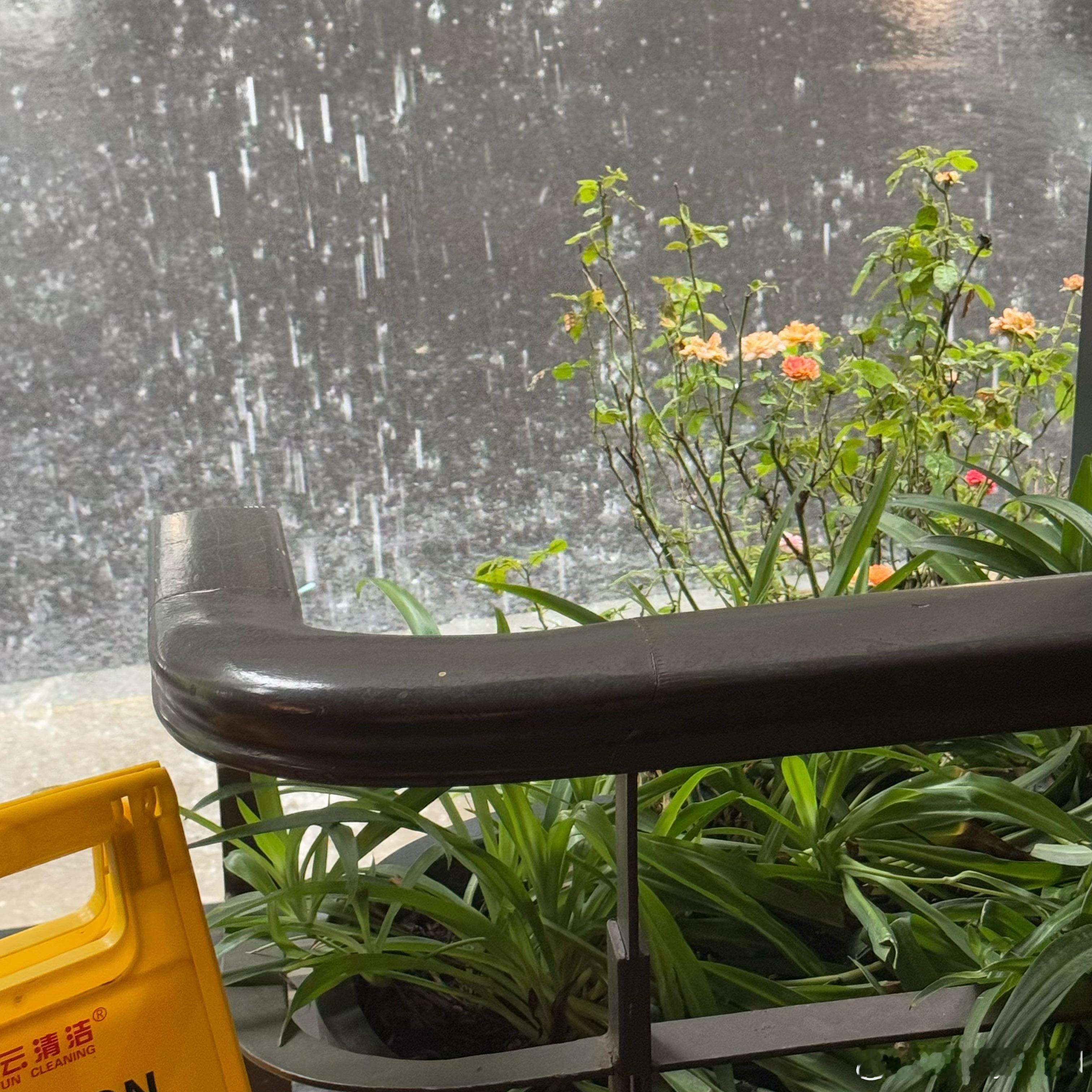 嘎 躲大雨 ​​​
