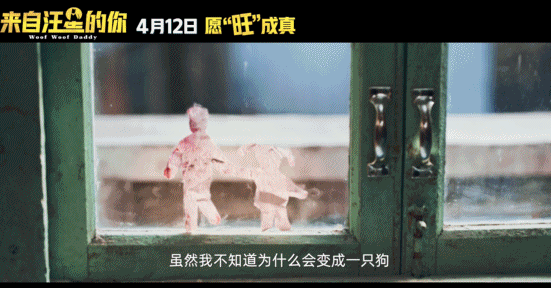 #来自汪星的你 笑着笑着被治愈#看完这部电影的点映，不得不说是又惊喜又感动。谁能
