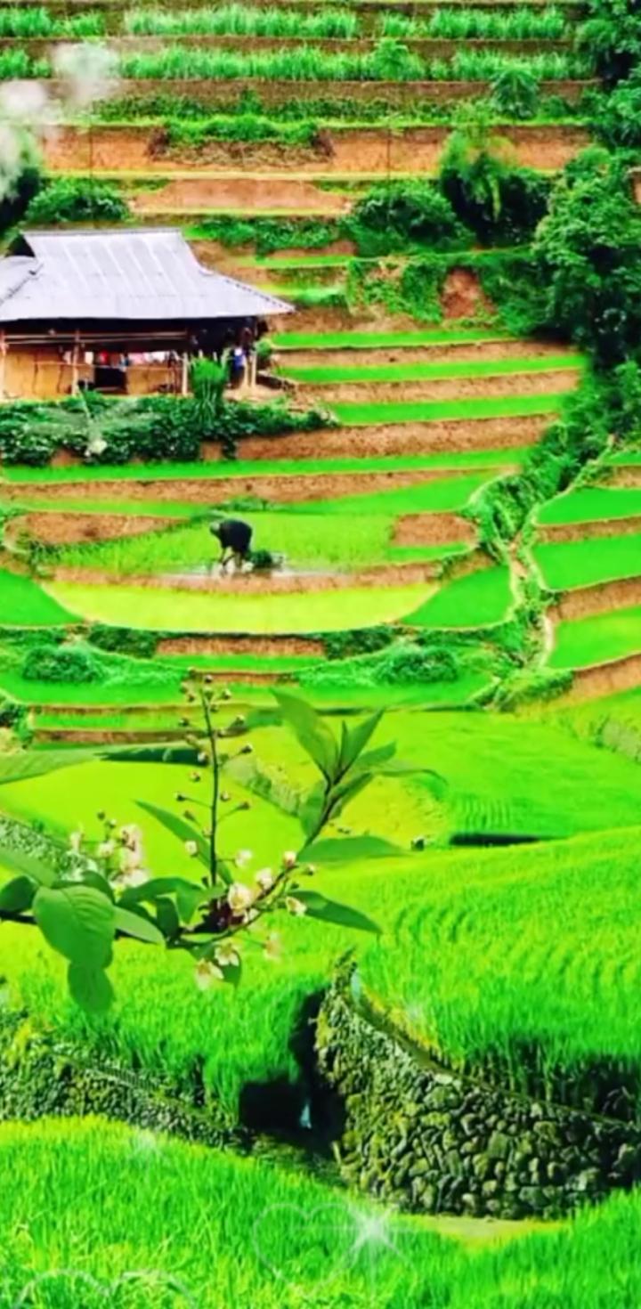 泽连斯基下不下台还真不好说。一方面，美国高官都暗示如果达成和平协议，他可能得下台