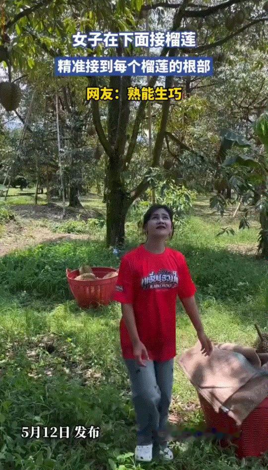 网友分享，一女子在榴莲树下徒手接榴莲，因一接一个准，且每接一个榴莲她都精准接到榴