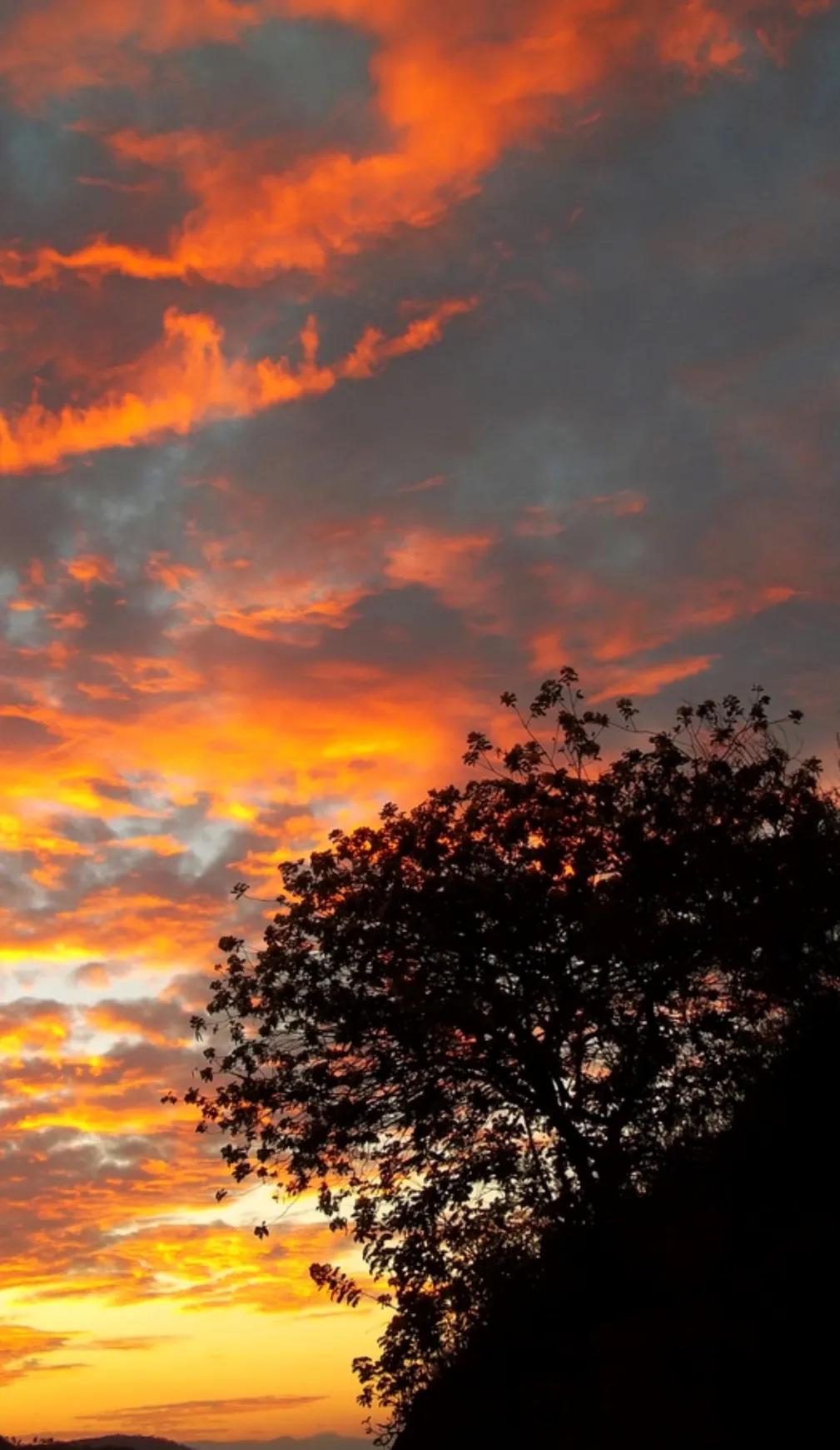 △题乡村秋光△
🌿🌅🌽🌾🍎🍃
秋光映乡村，田野景纯真。
玉米举棒笑，