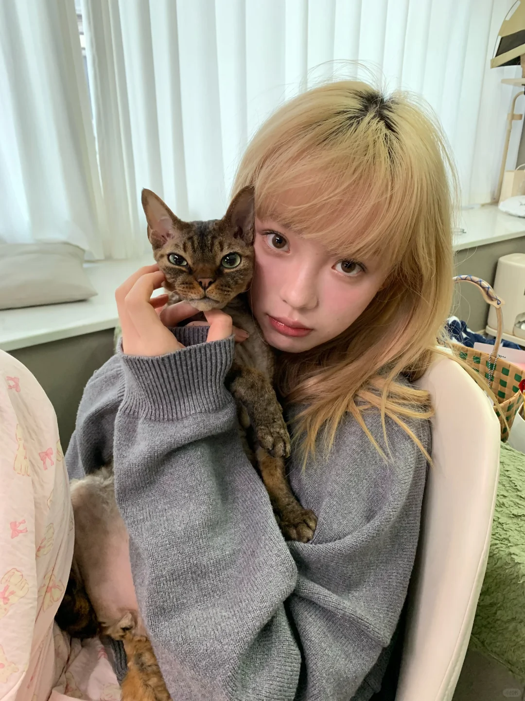 🐈💗