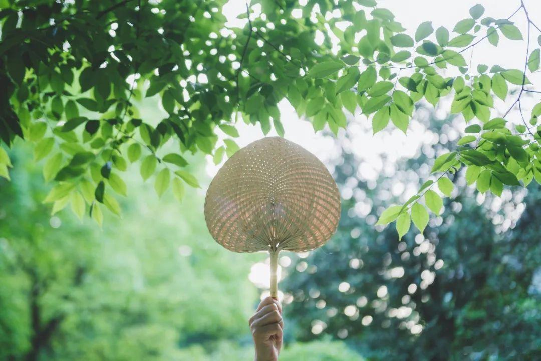 一个人烧掉自己的房子，都比摆脱偏见更容易。      ——罗杰•培根读书读书笔记