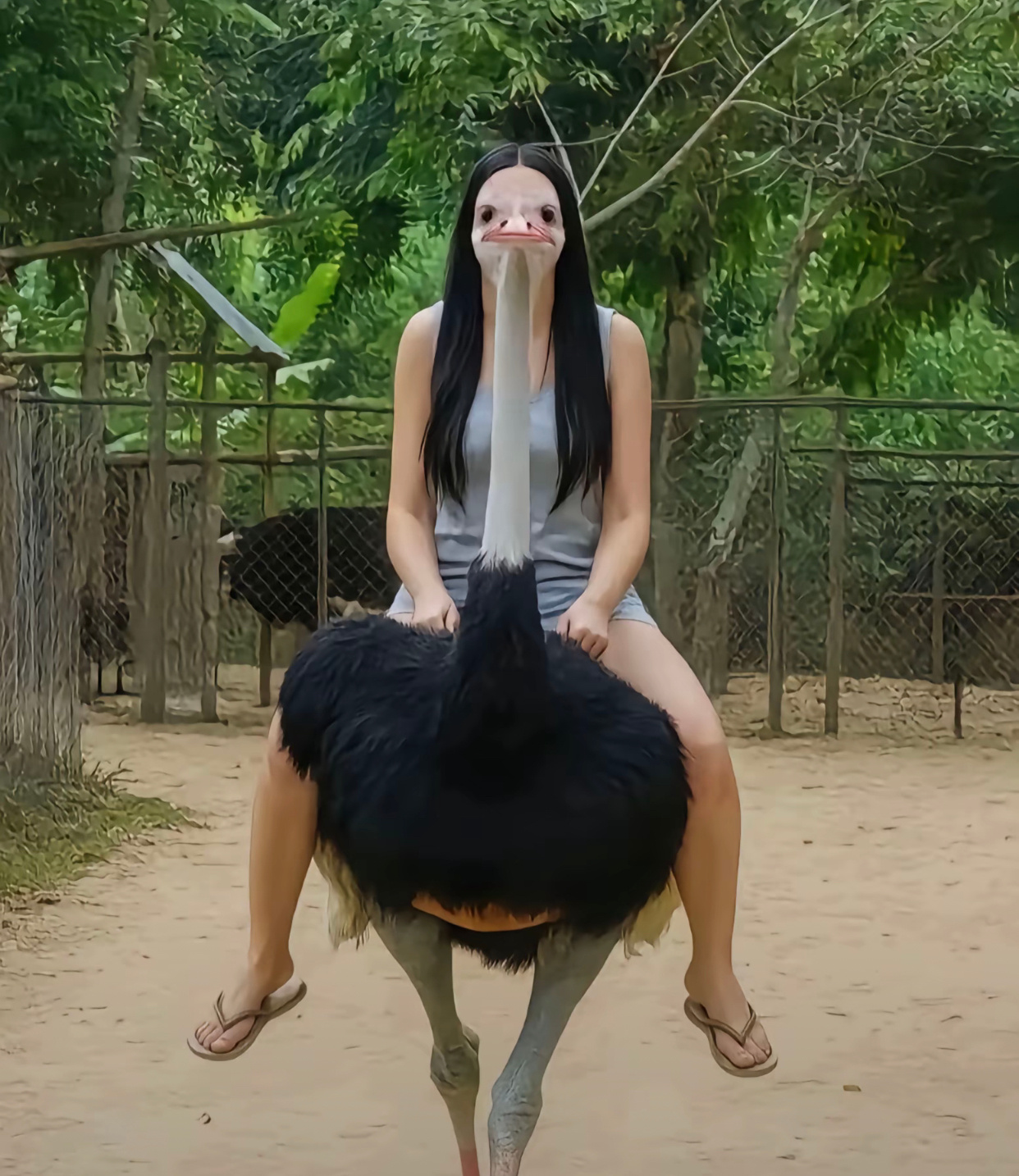 老公给我拍的旅游照 ​​​