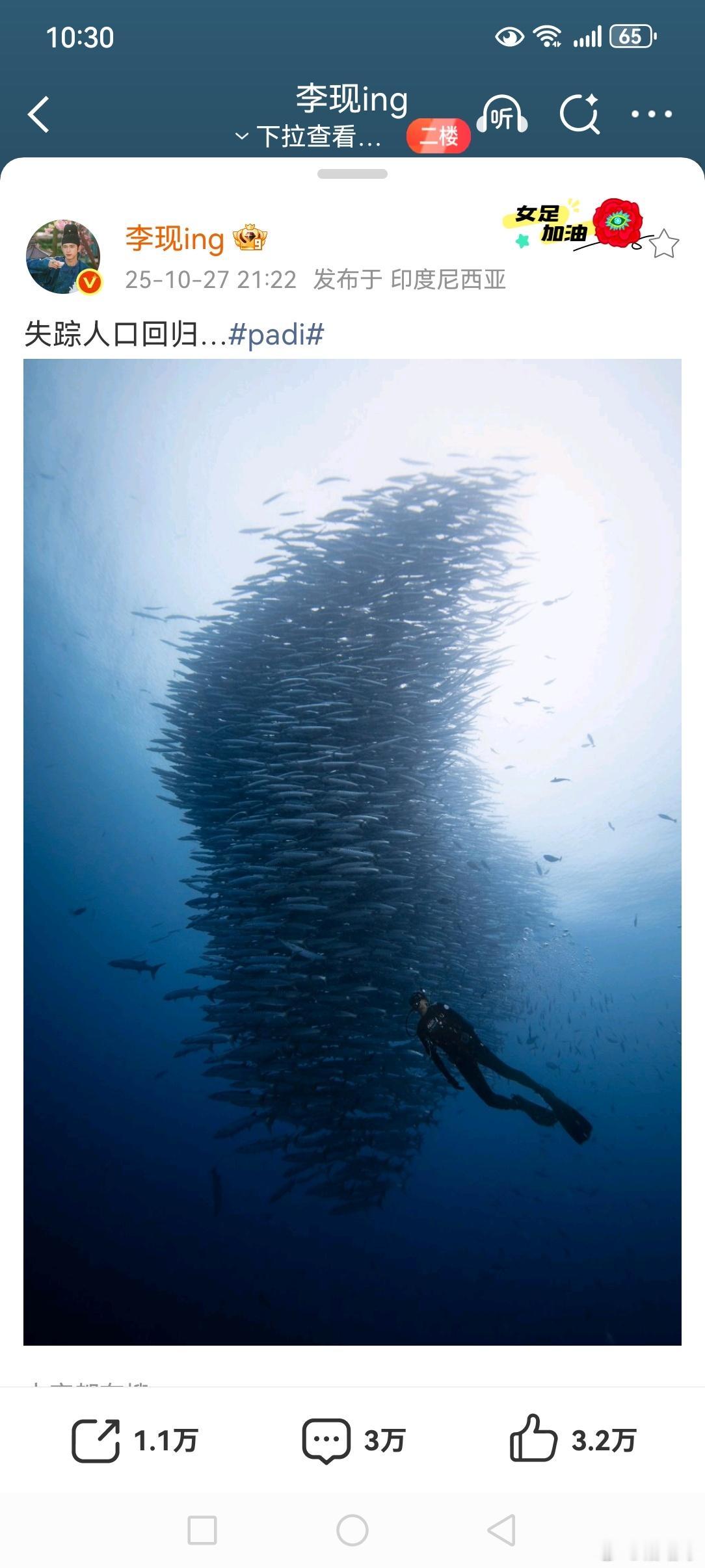 李现 失踪人口回归 ​​​