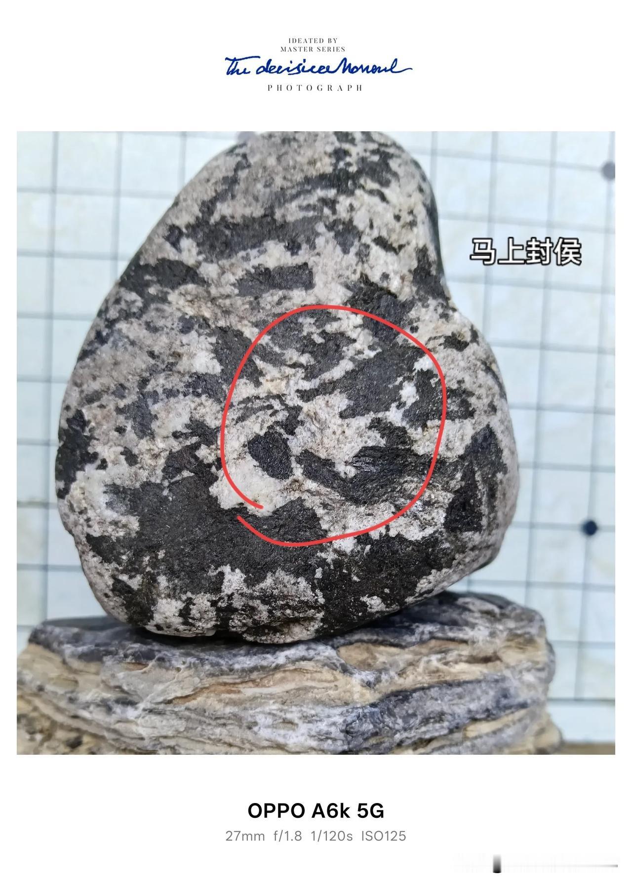 精品奇石（马上封侯）