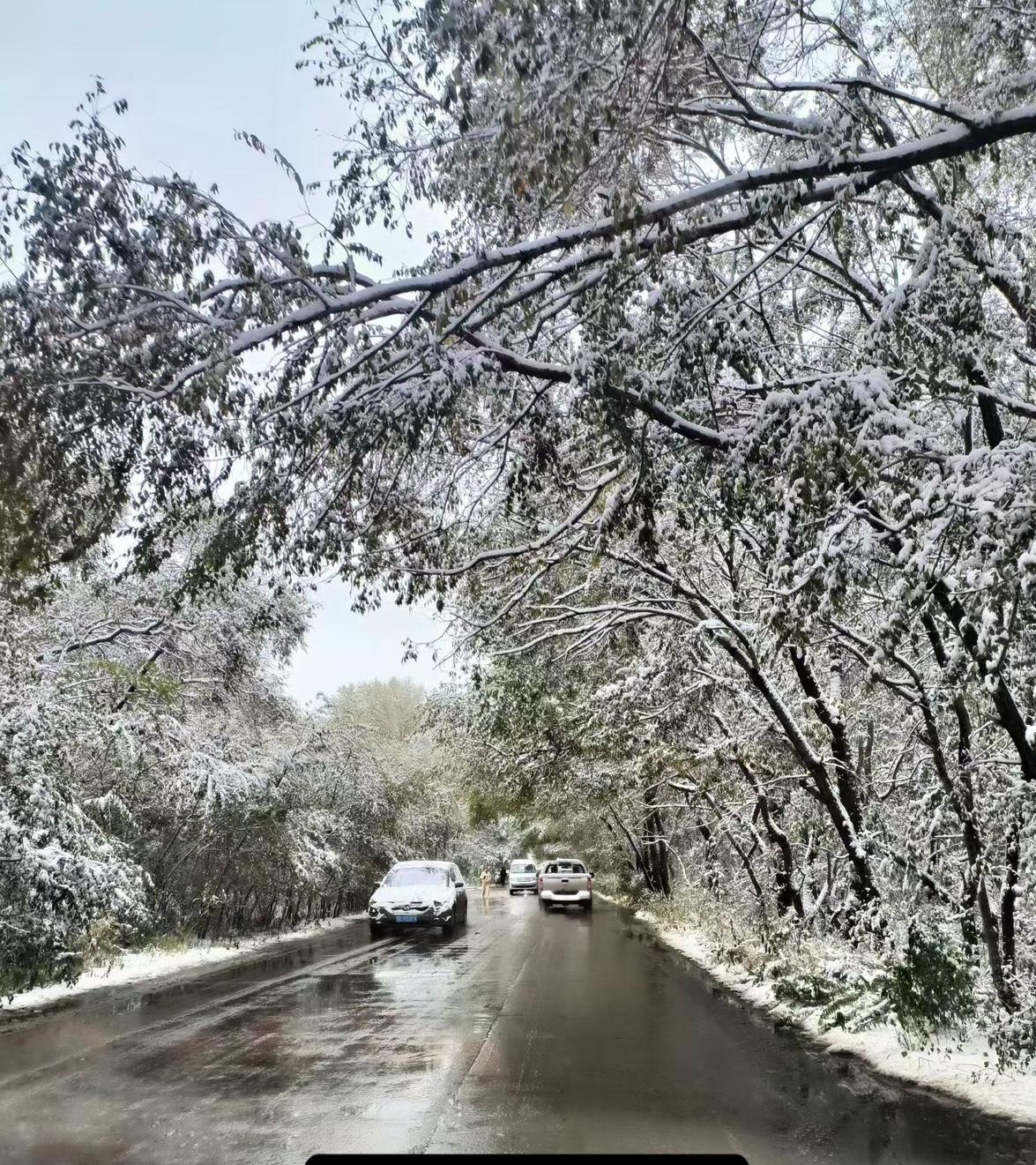 万万没想到

她两次目睹父亲移情别恋，却没想到母亲的悲剧，发生在自己的身上

十