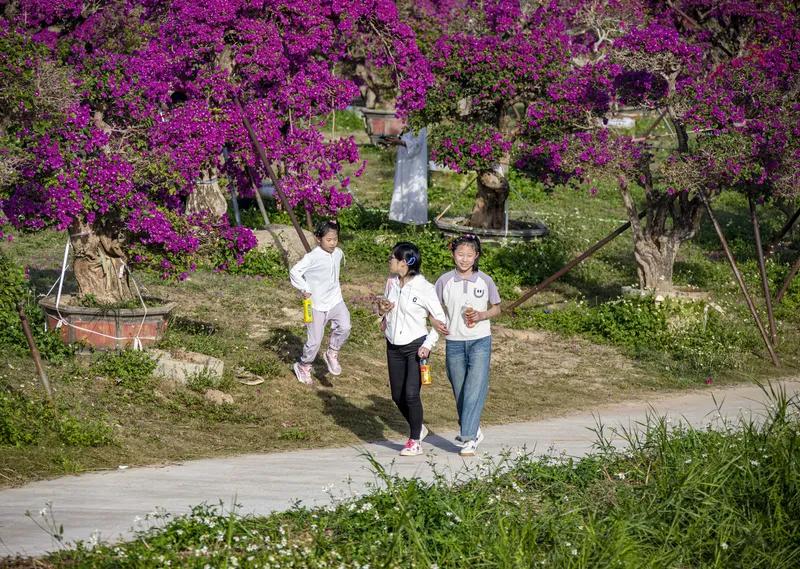 无题
此花自古无人栽
每逢寒冬它就开
专陪梅颜共客欢
农家赞它兆丰年