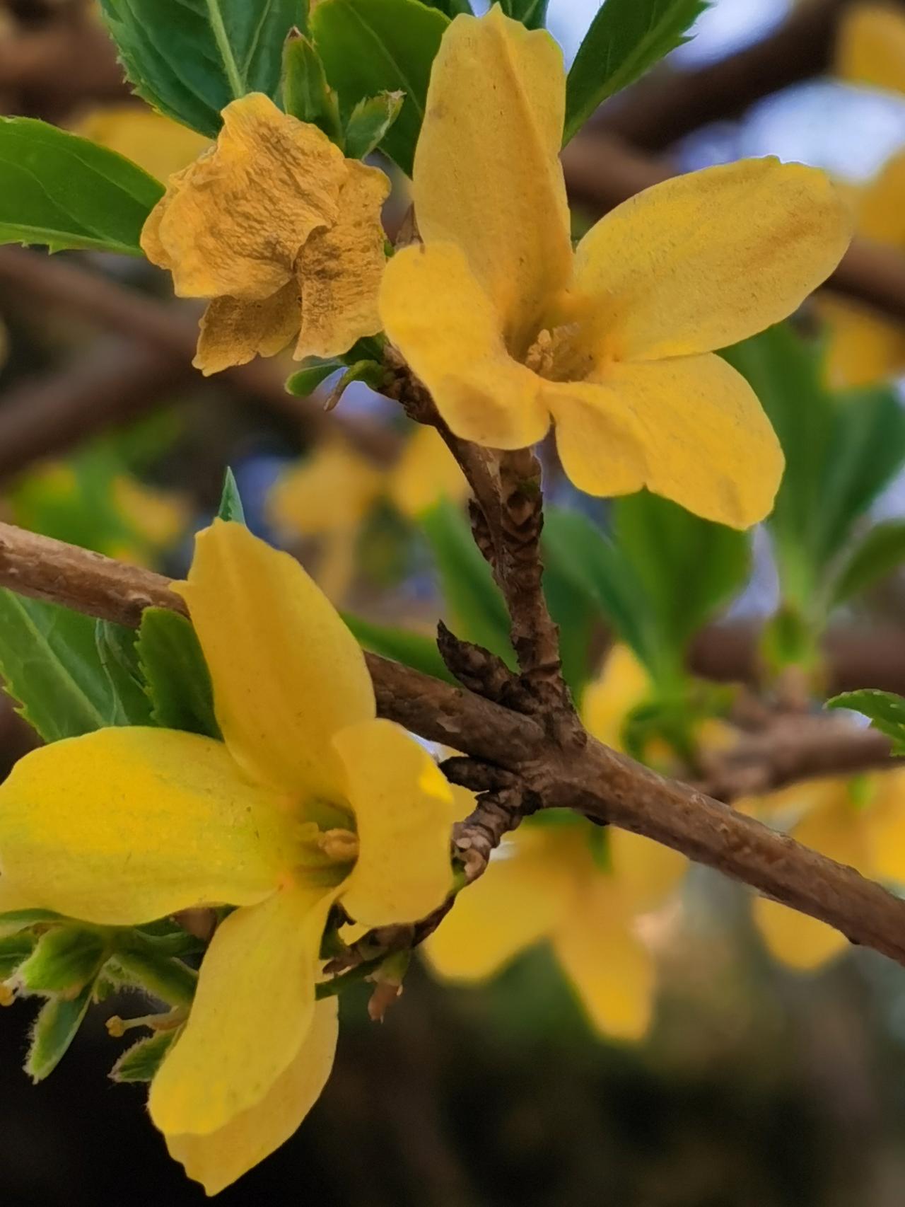 证券和保险是油门
1、三天后的午后，市场终于踩了油门。证券和保险，股如其名，正而