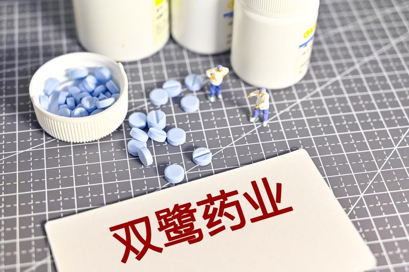 双鹭药业2025年预亏最高2.9亿元，炒股就亏损约2亿，董事长承诺自掏腰包填坑在