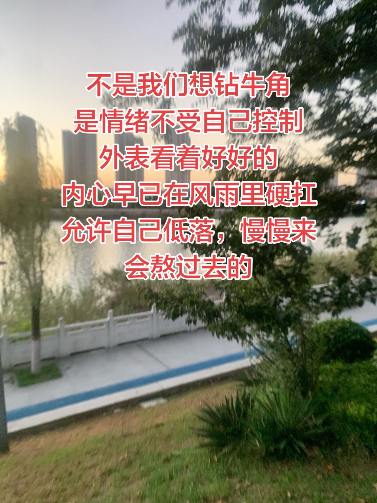 精神分裂康复  与自己和解 治愈自己