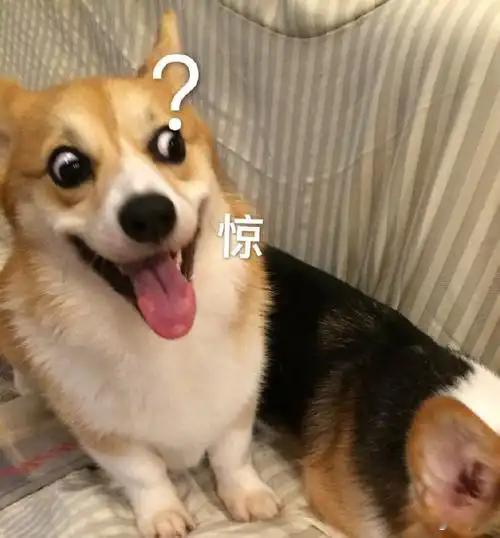 成都200w一个的蛋糕  有钱人越来越多了[doge] 
