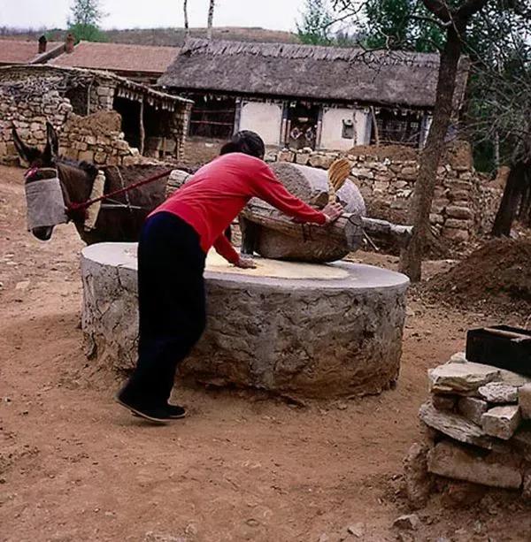 过去，女人只要嫁出去，就是泼出去的水，活是男家的人，死是男家的鬼，没有离婚之说，
