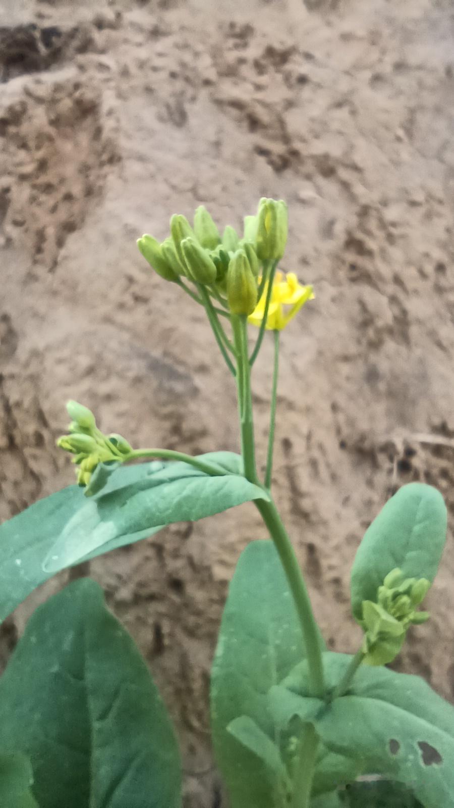 男人在感情里，最怕这句戳心窝子的话
 
夫妻吵架再凶。
也别扯到“你不如谁谁谁”