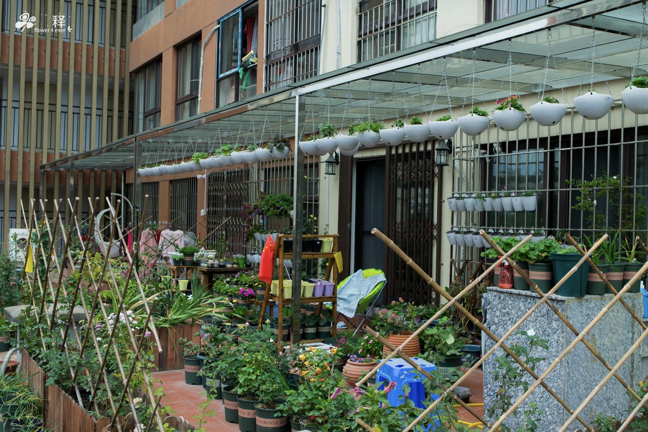 曾经的我花园也不乱，都是刚买不久的花，盆摆的整整齐齐。
但是，花养久了，自然而然