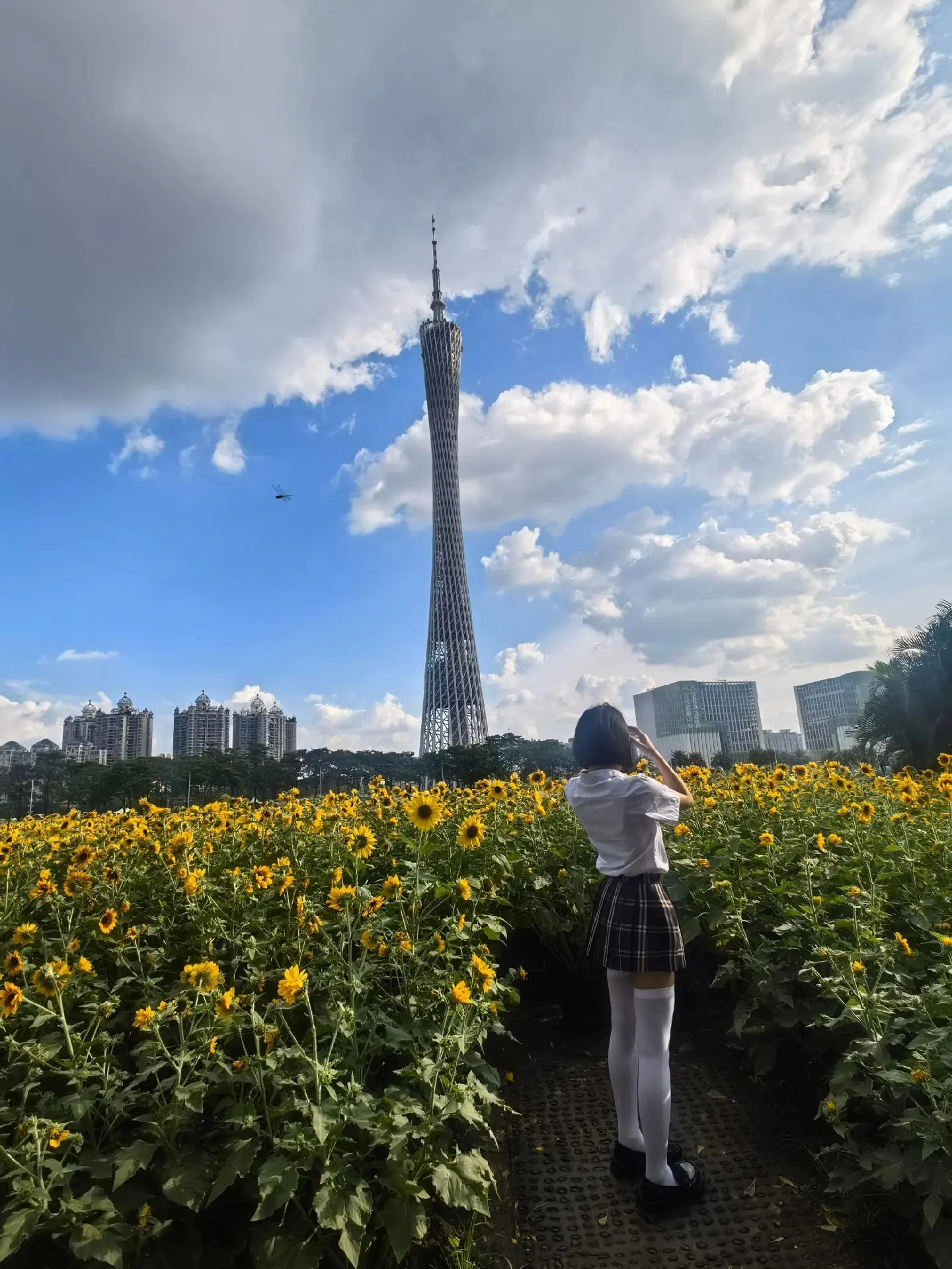 谢谢你的回答 再见