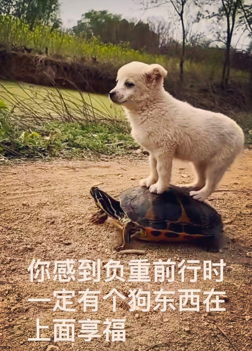 湘雅坠江学生曾发表高水平论文 说实话: 这些高水平的学子，大部分都是一般比较普通