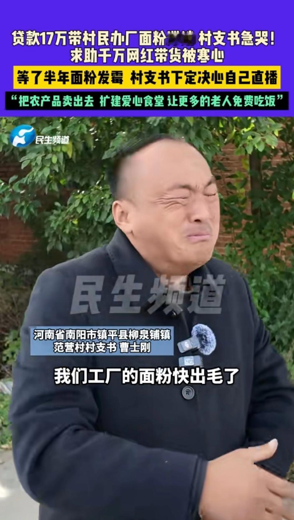 贷款17万带村民办面粉厂面粉滞销， 村支书：我们面粉厂的面粉都快长毛了，河南南阳