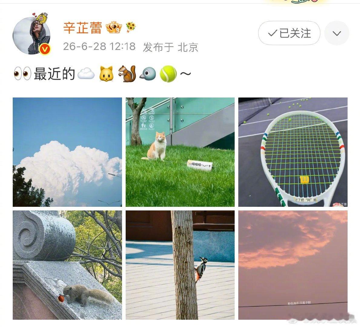 辛芷蕾打网球 原来辛芷蕾也会打网球！辛芷蕾晒出球场随拍记录运动时刻，简简单单的日