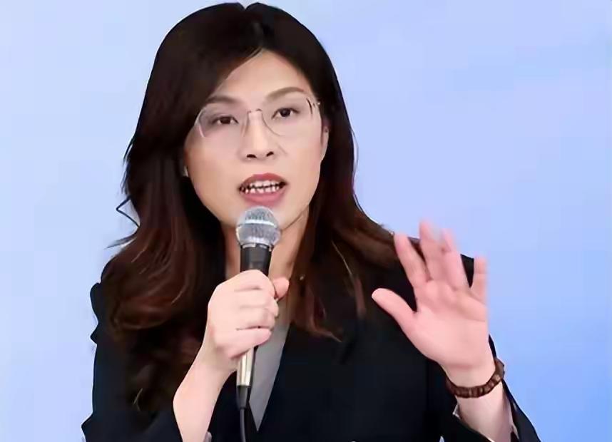 郑丽文访大陆为何国民党内有人忧？党内部分人士有2大顾虑

国民党内对郑丽文访陆的